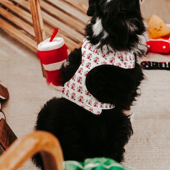 Ohio State Buckeye's Helmet Paw Print Pet Harness - Picture 7 of 10